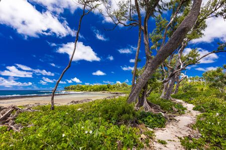 Eton Beach on Efate Island, Vanuatu, near Port Vila - famous beach on the east coastの写真素材