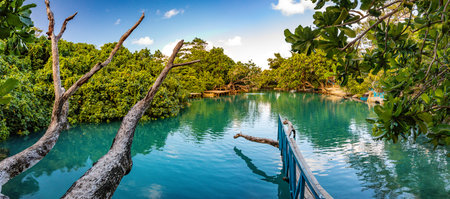 The Blue Lagoon, Port Vila, Efate, Vanuatu - famous tourist destination