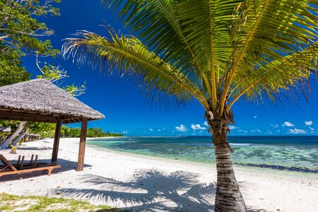 Tropical resort life in Vanuatu, near Port File, Efate Islandの写真素材