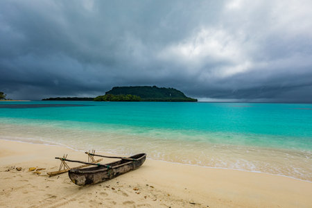 Amazing Port Orly sandy beach with palm trees, Espiritu Santo Island, Vanuatu.