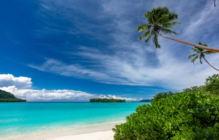 Amazing Port Orly sandy beach with palm trees, Espiritu Santo Island, Vanuatu.