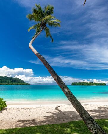Amazing Port Orly sandy beach with palm trees, Espiritu Santo Island, Vanuatu.の写真素材