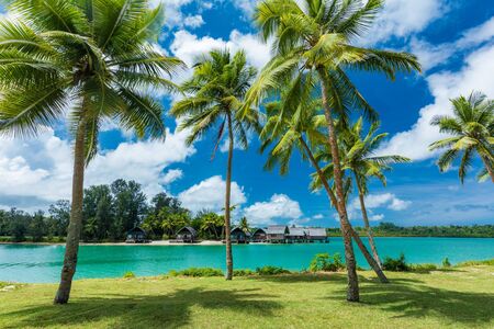 Tropical resort destination in Port Vila, Efate Island, Vanuatu, with beach and palm treesの写真素材