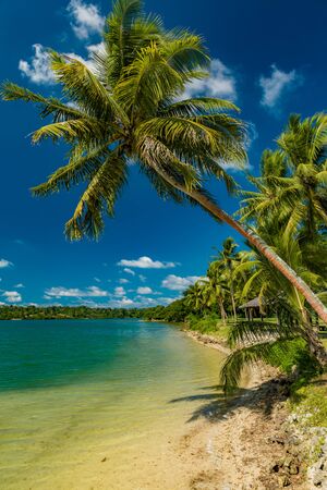 Tropical resort destination in Port Vila, Efate Island, Vanuatu, with beach and palm treesの写真素材