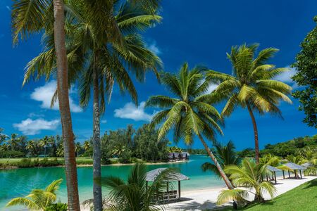 Tropical resort destination in Port Vila, Efate Island, Vanuatu, with beach and palm treesの写真素材