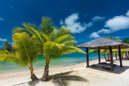 Tropical resort destination in Port Vila, Efate Island, Vanuatu, with beach and palm treesの写真素材
