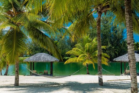 Tropical resort destination in Port Vila, Efate Island, Vanuatu, with beach and palm treesの写真素材