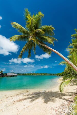 Tropical resort destination in Port Vila, Efate Island, Vanuatu, with beach and palm treesの写真素材