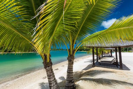 Tropical resort destination in Port Vila, Efate Island, Vanuatu, with beach and palm treesの写真素材