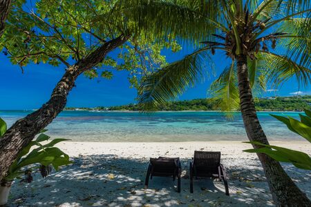 Vibrant Palm trees on a tropical beach, Vanuatu, Erakor Island, Efateの写真素材
