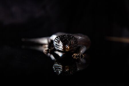 Black blue tongued lizard in dark shiny mirror environement.の写真素材