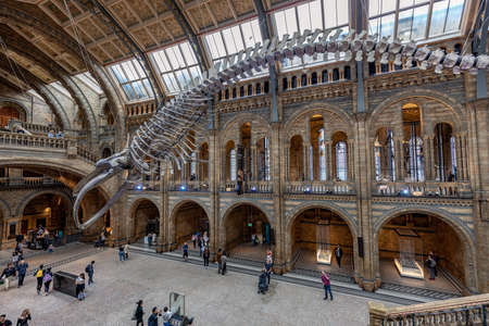 London,England, 16 Sep 2019: The Natural History museum is home to life and earth science specimens and welcomes many visitors every year.のeditorial素材