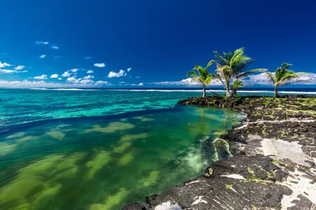 Vibrant tropical beach with palm trees, Upolu, Samoa.の写真素材