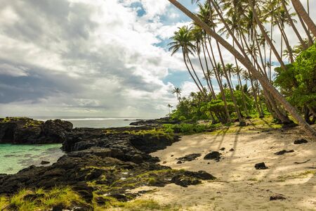 Tropical beach on south side of Samoa Island with coconut palm trees.の写真素材