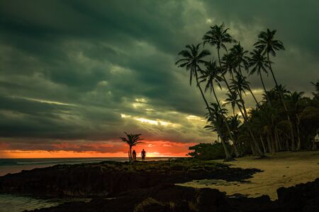 Coconut palm trees on the beach during the sunrise on Upolu, Samoa Islands.の写真素材
