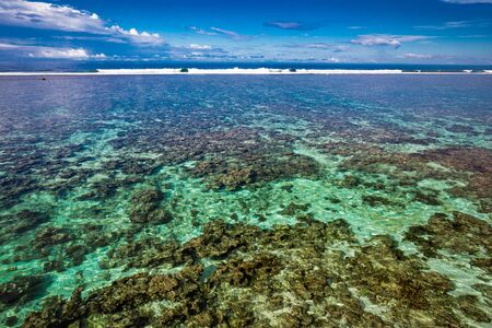 Vibrant tropical beach with palm trees, Upolu, Samoa.の写真素材