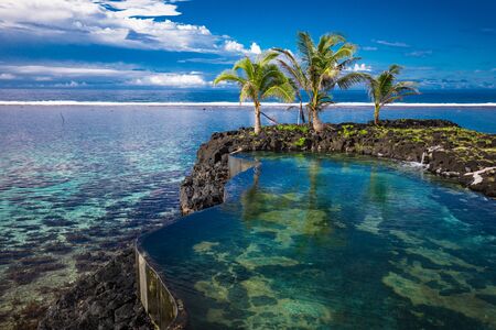 Vibrant tropical beach with palm trees, Upolu, Samoa.の写真素材