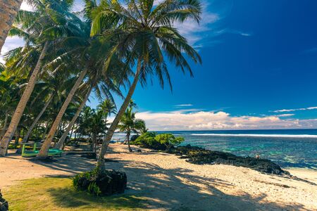 Tropical beach on south side of Samoa Island with coconut palm trees.の写真素材