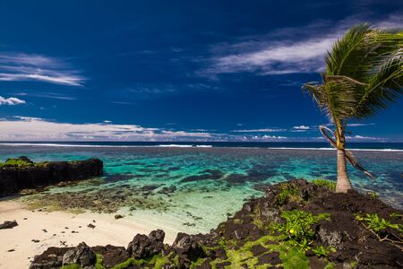 Tropical beach on south side of Samoa Island with coconut palm trees.の写真素材