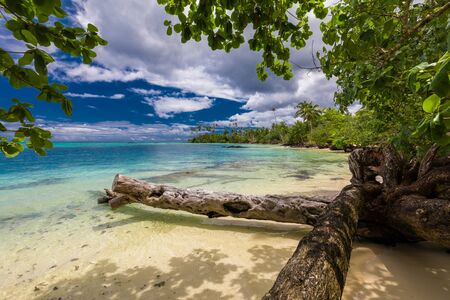 Tropical beach on south side of Samoa Island with coconut palm trees.の写真素材