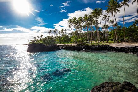 Tropical beach on south side of Samoa Island with coconut palm trees.の写真素材