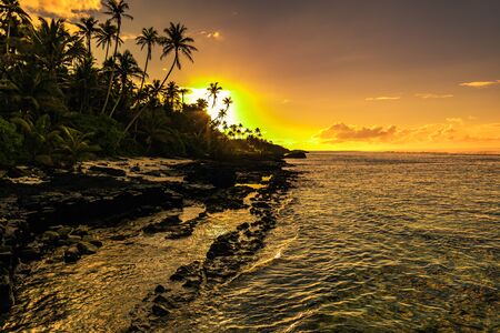 Coconut palm trees on the beach during the sunrise on Upolu, Samoa Islands.の写真素材
