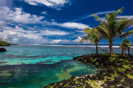 Vibrant tropical beach with palm trees, Upolu, Samoa.の写真素材