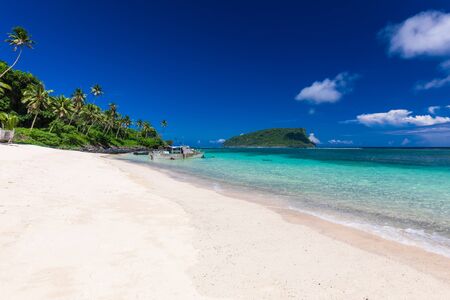 Vibrant tropical beach with palm trees, Upolu, Samoa.の写真素材