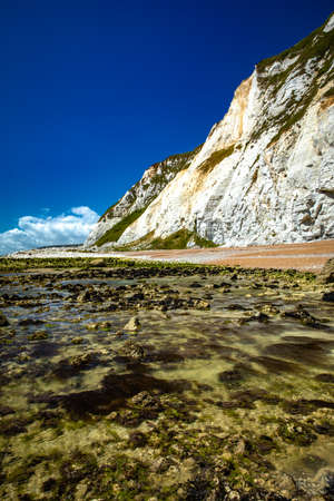 Scenic view of Samphire Hoe Country Park with white cliffs, south England, UKの写真素材