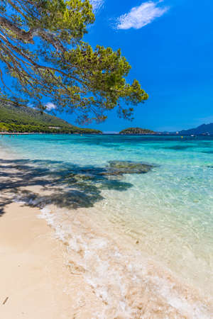 Platja de Formentor - beautiful sandy beach at cap formentor, Mallorca, Spainの写真素材