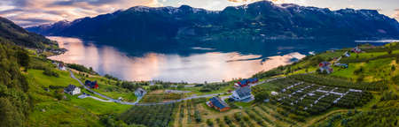 Apple and pear farms in Sorfjorden, lake and mountains, Norwayの写真素材