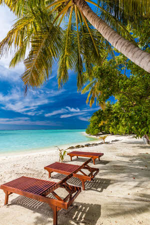 Tropical beach in Maldives with palm trees and vibrant inviting lagoonの写真素材
