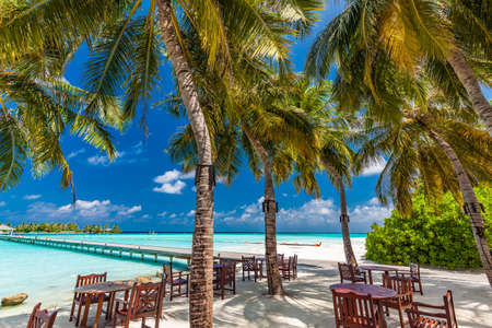 Tropical beach in Maldives with palm trees and vibrant inviting lagoonの写真素材