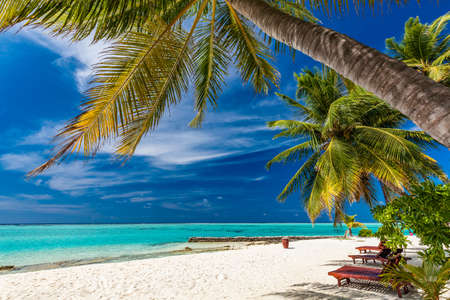 Tropical beach in Maldives with palm trees and vibrant inviting lagoonの写真素材