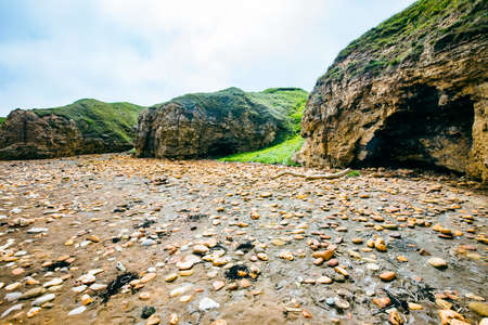 Sunny Cliffs and beach at Blackhall Rocks and Cromdon Dene Beachの写真素材