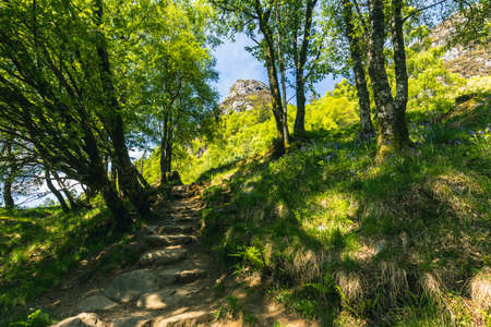 Ben A'an hill and the Loch Katrine in the Trossachs, Scotlandの写真素材