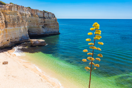 Aerial drone views of Praia da Marinha and Malhada do Baraco - beaches in Algarve, Portugalの写真素材