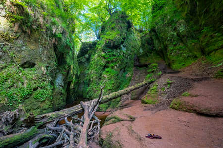 Devilâs Pulpit gorge, near Glasgow, Scotland, UKの写真素材