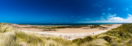 UK, England, Northumberland, Bamburgh Castle on hill near beachの写真素材