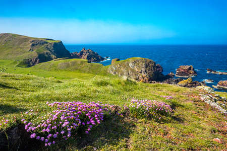 Village of St. Abbs, Starney Bay - Nature Reserve, Berwickshire, Scotland, United Kingdomの写真素材