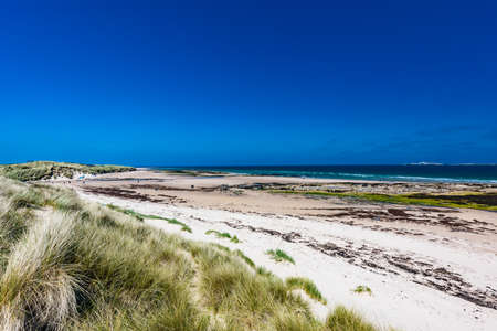 UK, England, Northumberland, Bamburgh Castle on hill near beachの写真素材