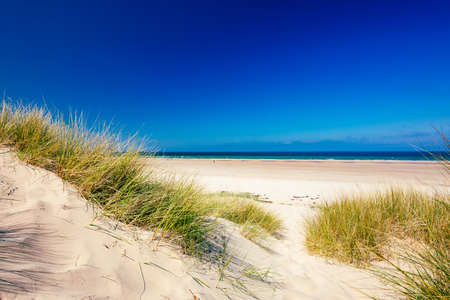 UK, England, Northumberland, Bamburgh Castle on hill near beachの写真素材