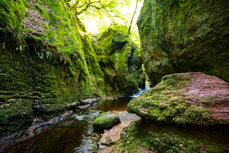 Devilâs Pulpit gorge, near Glasgow, Scotland, UKの写真素材