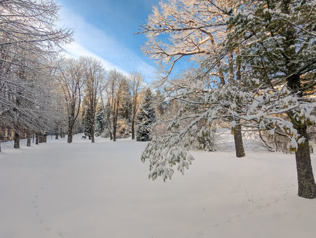 Travertine lake with hot water close to the spa Vysne Ruzbachy, Slovakia, during winterの写真素材