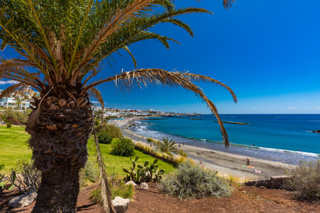 White sandy El Duque beach and coastline in Tenerife. Adeje coast Canary island, Spainの写真素材