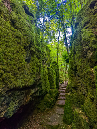 The moss covered rocks of Puzzlewood, an woodland near Coleford, Royal Forest of Dean, UK.の写真素材