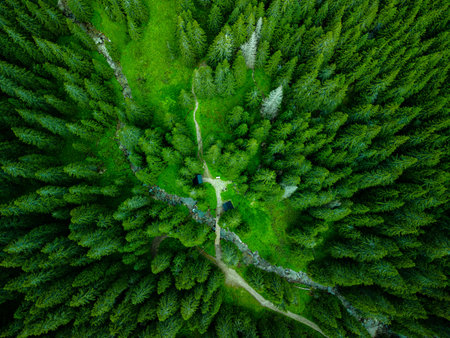 Aerial drone panoramic view of the educational trail Zadne Medodoly, High Tatras, Slovakia.
