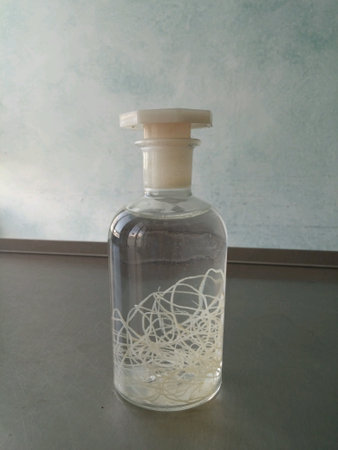 Bottle with dog heartworm (extracted in surgery)