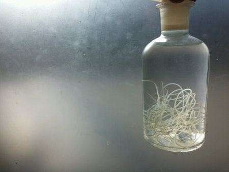 Bottle with dog heartworm (extracted in surgery)