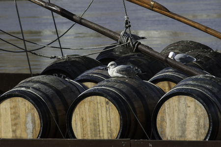 Traditional ships to transport barrels of port wine on the Douro riverの写真素材